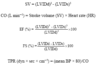 Maternal Myocardial Performance In Various Stages Of Pregnancy And Post ...