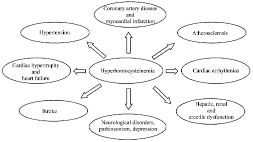 Hyperhomocysteinemia