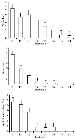 role of cytokinen and auxin on the multiplication stage of date palm  phoenix dactylifera l   cv