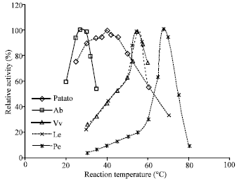 Determining Optimal Ph For Tyrosinase Catechol Reaction