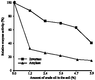 effect of ph on invertase activity Effect of temperature on invertase activity - free download as word doc (doc / docx), pdf file (pdf), text file (txt) or read online for free. effect of ph on invertase activity Effect of temperature on invertase activity - free download as word doc (doc / docx), pdf file (pdf), text file (txt) or read online for free.