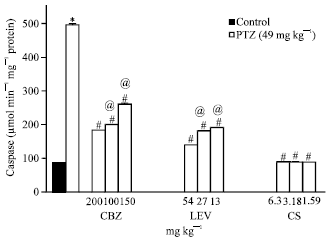 Image for - Role of Cysteine Proteases in the Mechanism of Action of the Anticonvulsants  Levetiracetam and Carbamazepine and the Calpain Inhibitor Calpastatin in Pentylenetetrazole-kindled  Rats