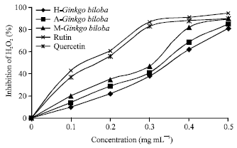 Image for - Evaluation of Phytochemicals and Antioxidant Activity of Ginkgo biloba from Turkey