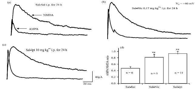 Image for - Dual Effects of Iptakalim on Nicotine-induced Rat Behavioral Sensitization