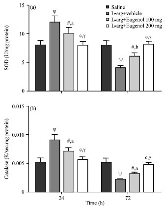 Image for - Ameliorating Effect of Eugenol on L-arginine Induced Acute Pancreatitis and Associated Pulmonary Complications in Rats