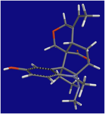 Image for - Isolation and Structure Elucidation of a New Indole Alkaloid, Erinidine, from Hunteria umbellata Seed