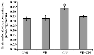 Image for - Short-Term Sensorimotor and Cognitive Changes Induced by Acute Chlorpyrifos Exposure in Wistar Rats: Ameliorative Effect of Vitamin E
