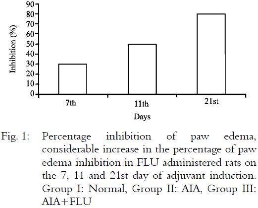Image for - Fluvastatin Alleviates Inflammation and Oxidative Stress in Adjuvant Induced  Arthritic Rats by the Downregulation of TNF-α  and IL-6
