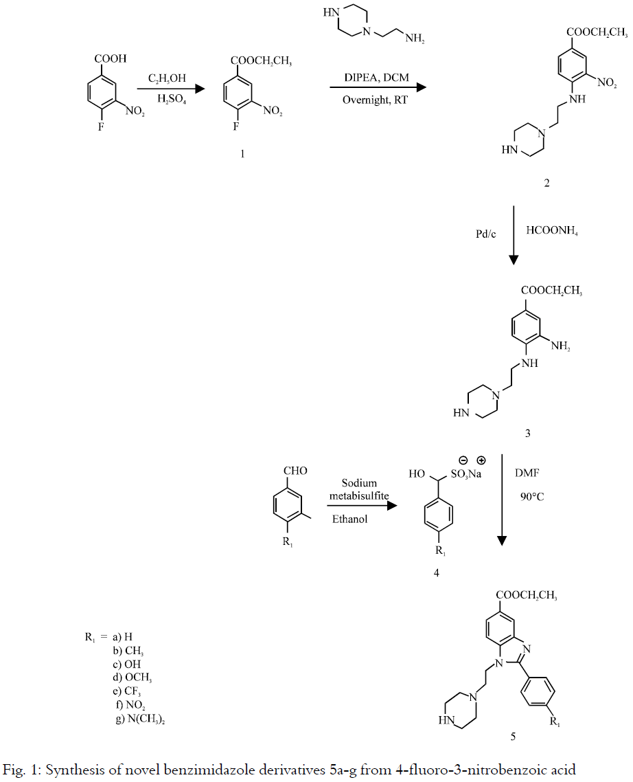 Image for - Facile Synthesis and Evaluation of Sirtuin Inhibitory Activity of Novel  Benzimidazole Derivatives
