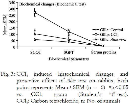 Image for - Hepatoprotective Effect of Aloe vera Against Carbon Tetrachloride  Induced Hepatotoxic Effects in Experimental Animal Models