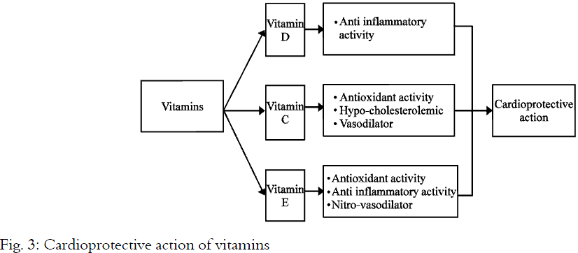 Image for - Spices, Fruits, Nuts and Vitamins: Preventive Interventions for Myocardial 
  Infarction