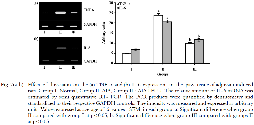 Image for - Fluvastatin Alleviates Inflammation and Oxidative Stress in Adjuvant Induced  Arthritic Rats by the Downregulation of TNF-α  and IL-6