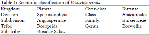 Image for - Boswellia serrata-frankincense (A Jesus Gifted Herb); An Updated Pharmacological Profile