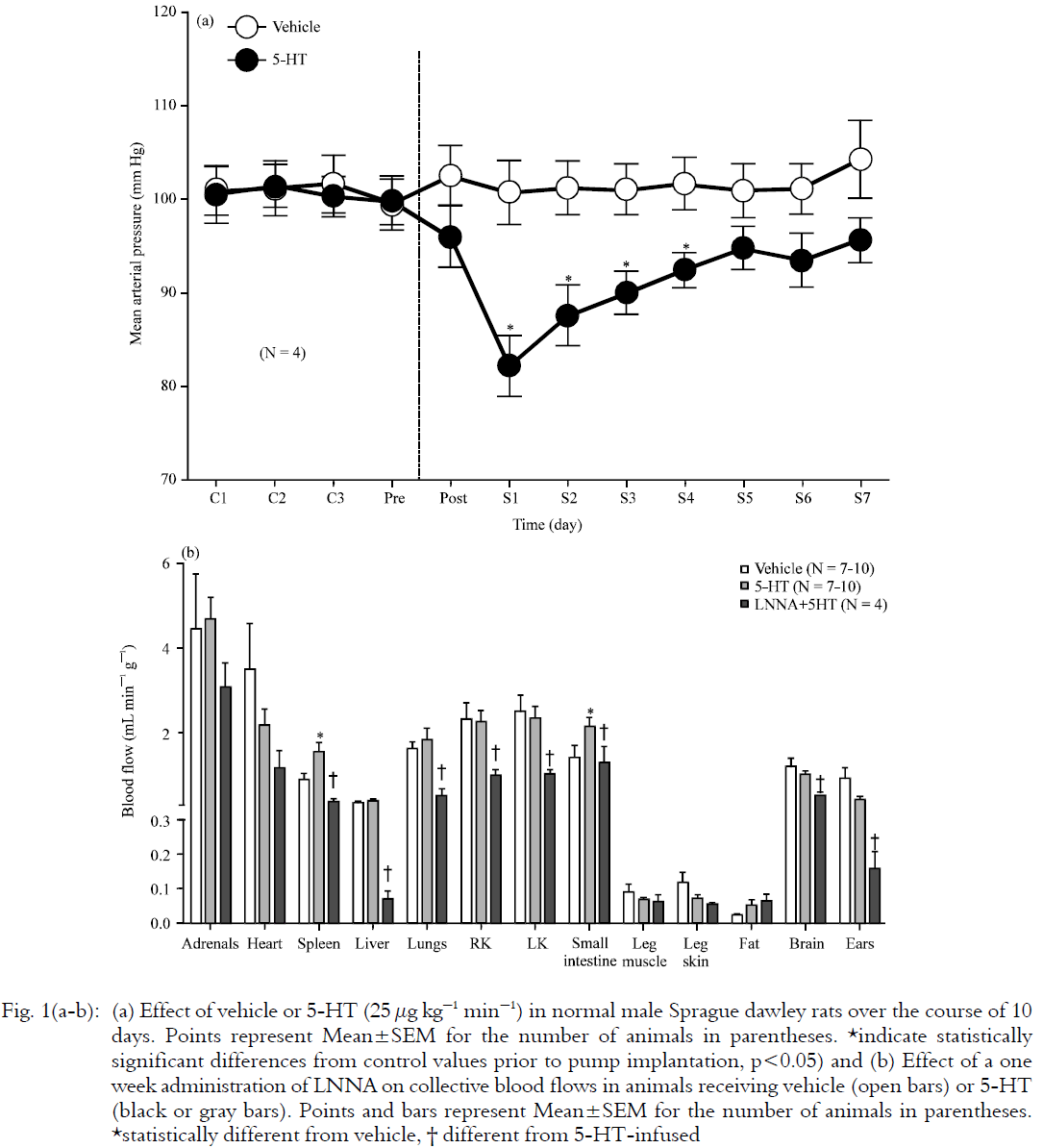 Image for - Serotonin-induced Hypotension is Mediated by a Decrease in Intestinal Vascular  Resistance