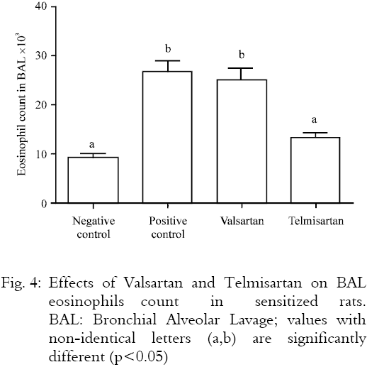 Image for - Anti-inflammatory Effects of Telmisartan and Valsartan in Animal Model of Airways Inflammation