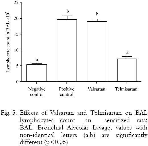 Image for - Anti-inflammatory Effects of Telmisartan and Valsartan in Animal Model of Airways Inflammation
