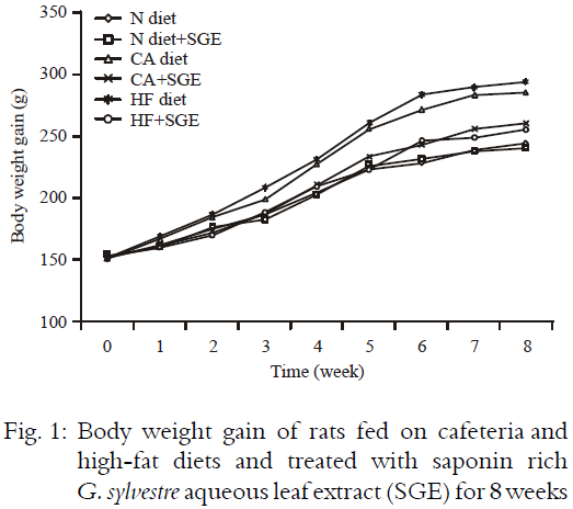 Image for - Protective Effects of Saponin-Rich Aqueous Leaf Extract of Gymnema sylvestre R. Br. against Cafeteria and High-Fat Diet-Induced Obesity and Oxidative Stress in Rats