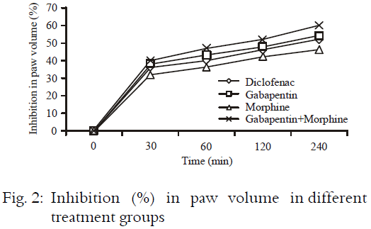 Image for - Anti-Inflammatory Effects of Morphine and Gabapentin, Alone and in Combination, in Rats