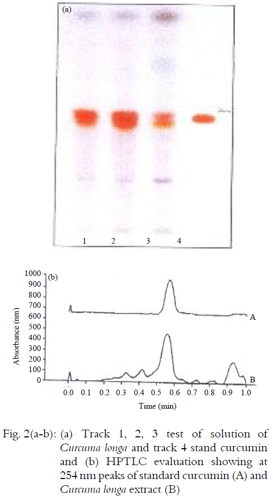 Image for - Immunomodulatory Activity of Withina somnifera and Curcuma longa in Animal Models: Modulation of Cytokines Functioning