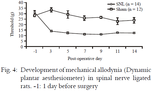 Image for - Standardization and Validation of Spinal Nerve Ligation Model of Neuropathic Pain in Rats