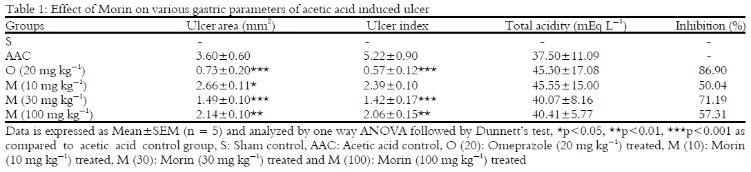 Image for - Antiulcer Potential of Morin in Acetic acid-Induced Gastric Ulcer via Modulation of Endogenous Biomarkers in Laboratory Animals