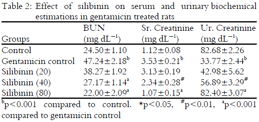 Image for - Silibinin: A Bioactive Flavanone in Milk Thistle Ameliorate Gentamicin Induced Nephrotoxicity in Rats