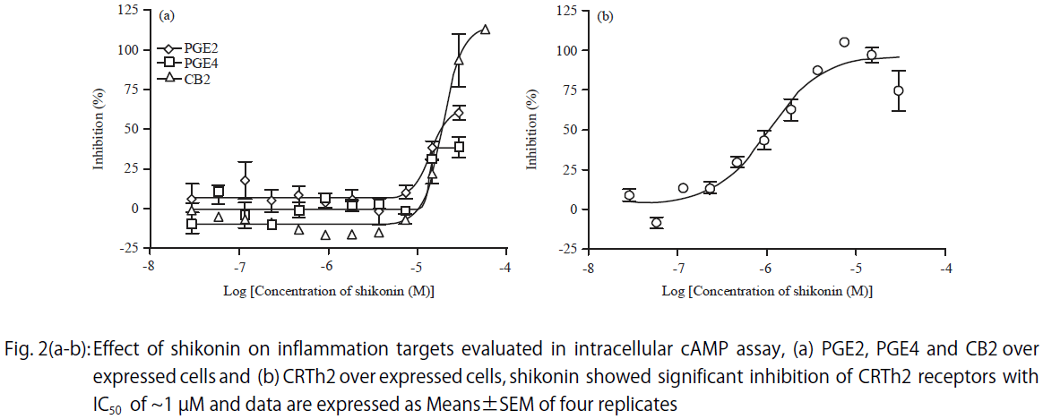 Image for - Identification of Novel Targets for Shikonin as a Potent Drug for Inflammation and Cancer