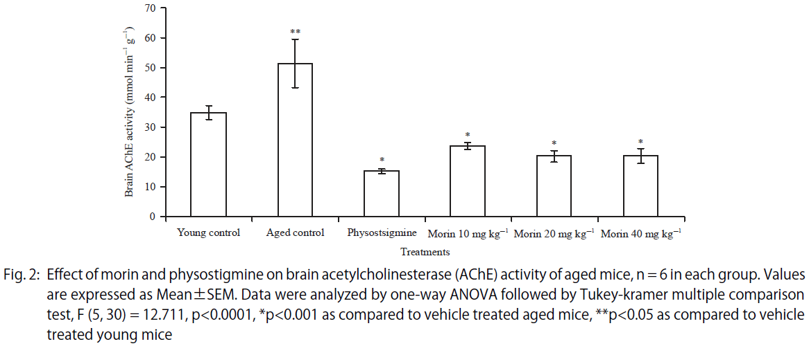 Image for - Improvement of Learning and Memory by Morin, A Flavonoid in Young and Aged Mice