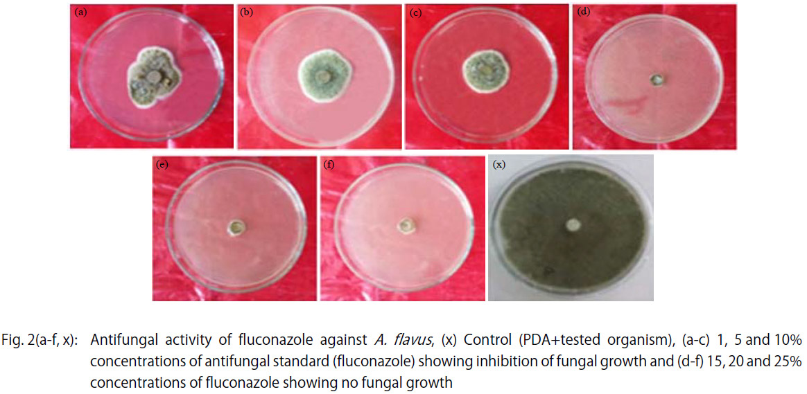 Image for - Antifungal Activity of Lantana camara L. Leaf Extracts in Different Solvents Against Some Pathogenic Fungal Strains