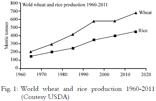 Image for - Changes in Cultivation Pattern of Wheat and Rice as Influenced by the Key  Innovations in Research, Policy and Institution Initiatives