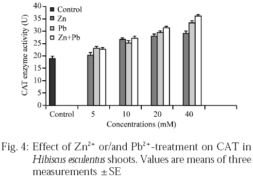 Image for - Biochemical Studies on the Effects of Zinc and Lead on Oxidative Stress, Antioxidant Enzymes and Lipid Peroxidation in Okra (Hibiscus esculentus cv. Hassawi)