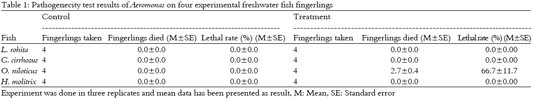 Image for - Pathogenecity Test of Aeromonas Isolated from Motile Aeromonas Septicemia  (MAS) Infected Nile Tilapia on Some Freshwater Fish