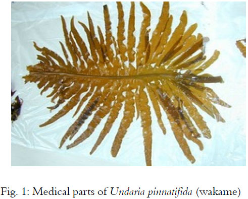 Image for - Undaria pinnatifida (Wakame): A Seaweed with Pharmacological Properties