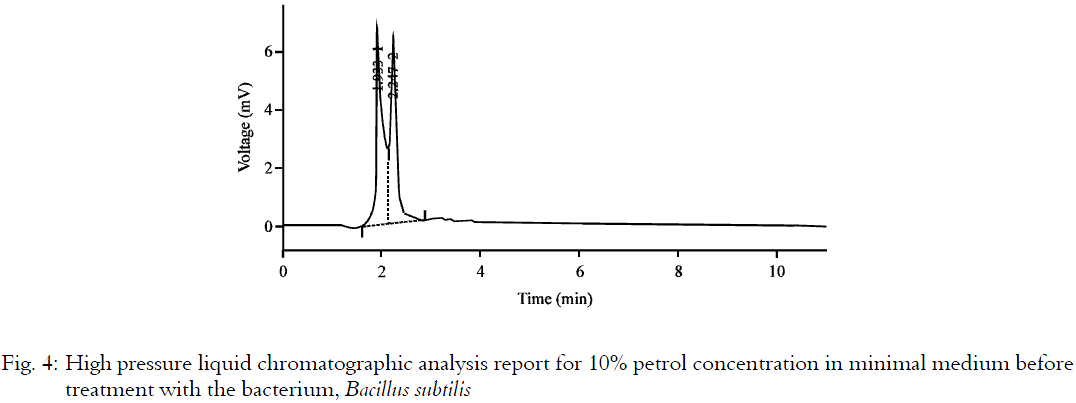 Image for - Biodegradation of Petroleum Compound Using the Bacterium Bacillus subtilis