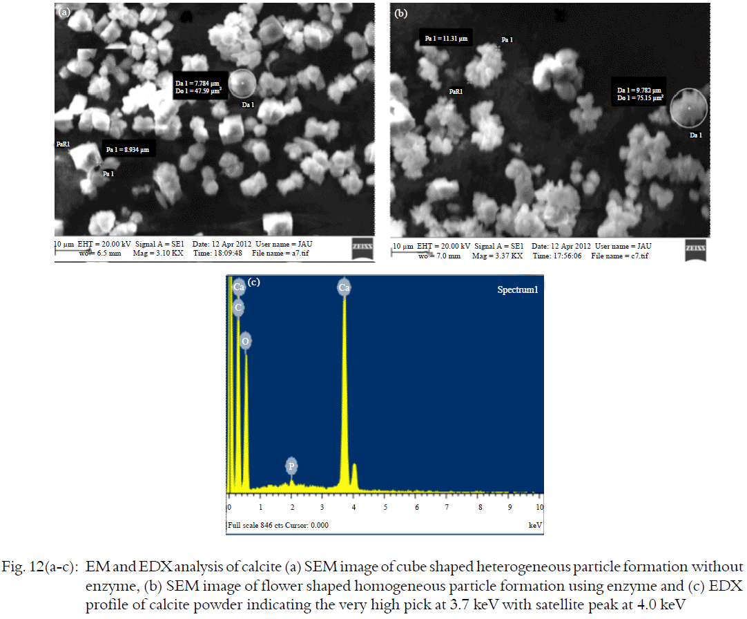 Image for - Biomimetic Sequestration of CO2 Using Carbonic Anhydrase from  Calcite Encrust Forming Marine Actinomycetes
