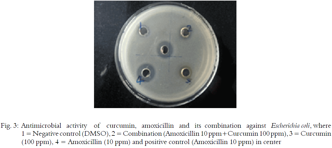 Image for - Influence of Curcumin on the Synthetic Drug Amoxicillin
