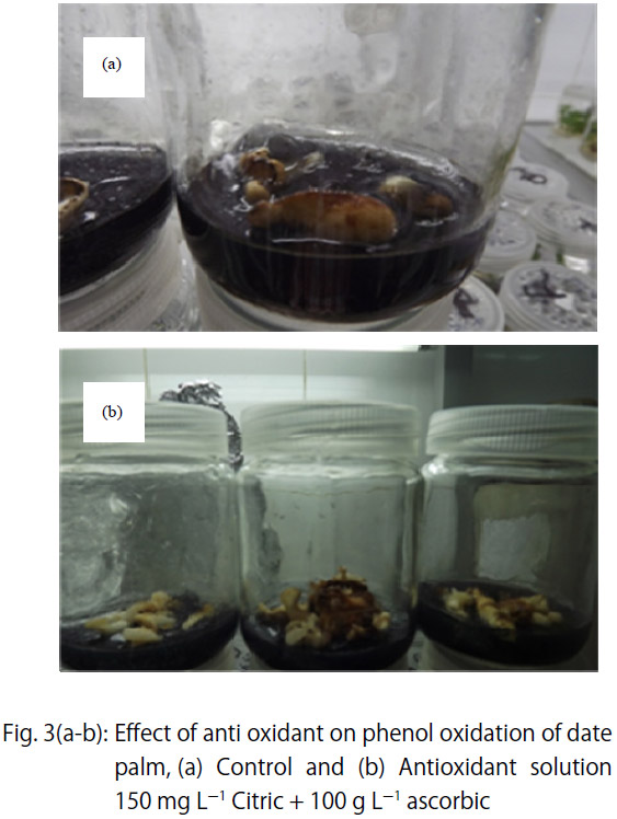 Image for - Factor Controlling Micropropagation of Fruit Trees: A Review