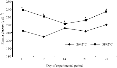 Image for - Comparative Ability to Tolerate Heat Between Thai Indigenous Chickens, Thai Indigenous Chickens Crossbred and Broilers by Using Plasma Glucose