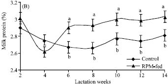Image for - Rumen-protected Methionine Improves Early-Lactation Performance of Dairy Cattle Under High Ambient Temperatures