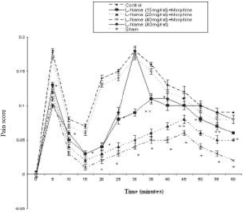 Image for - Effects of L-NAME on Antinociceptive Induced by Morphine in Formalin Test