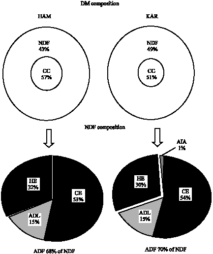 Image for - Use of Nylon Bag Technique to Determine Nutritive Value and Degradation  Kinetics of Iranian Alfalfa Varieties