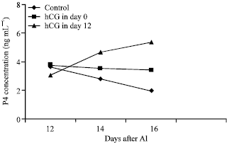Image for - The Effect of Human Chorionic Gonadotropin on the Reproduction Performance in Lory Sheep Synchronized with Different Doses of Pregnant Mare Serum Gonadotrophin Outside the Breeding Season