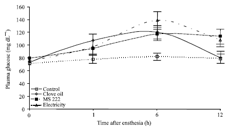 Image for - Comparison of Electroanesthesia with Chemical Anesthesia (MS222 and Clove Oil) in Rainbow Trout (Oncorhynchus mykiss) using Plasma Cortisol and Glucose Responses as Physiological Stress Indicators