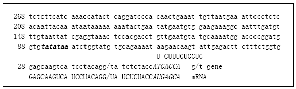 Image for - The Novel Genetic Change in 5’-untranslated Region of Goose Prolactin Gene and their Distribution Pattern in Different Goose Breeds