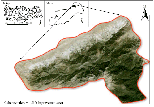 Image for - Population Size, Structure and Behaviours of Wild Goat in Cehennemdere Wildlife Improvement Area