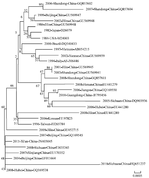 Image for - A Retrospective Analysis on Phylogeny and Evolution of CPV Isolates in China