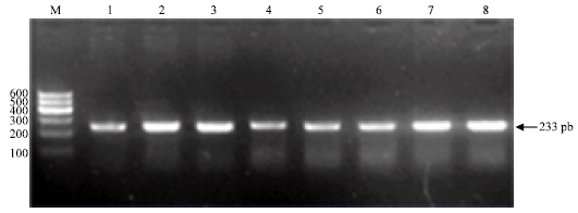 Image for - A Novel Mutation at Exon 4 of IGF-1 Gene in Three Indigenous Goat Breeds in China