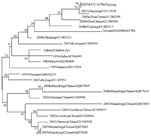 Image for - A Retrospective Analysis on Phylogeny and Evolution of CPV Isolates in China