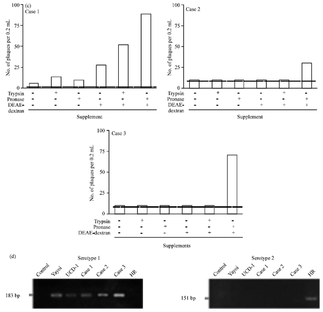 Image for - Pronase/diethylaminoethyl Dextran Supplementation Enhances Growth of Feline Infectious Peritonitis Virus Serotype I Strains in Cell Culture