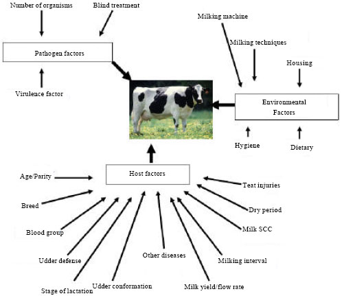 Image for - Bovine Mastitis: An Asian Perspective